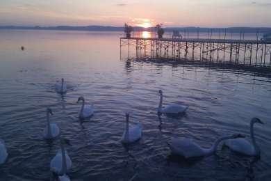 balatonoszodi_hullam_udulopark_sajat_strandja011